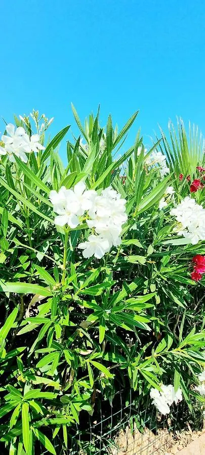 San Carlo - Private Beach Campofelice Di Roccella Holiday home