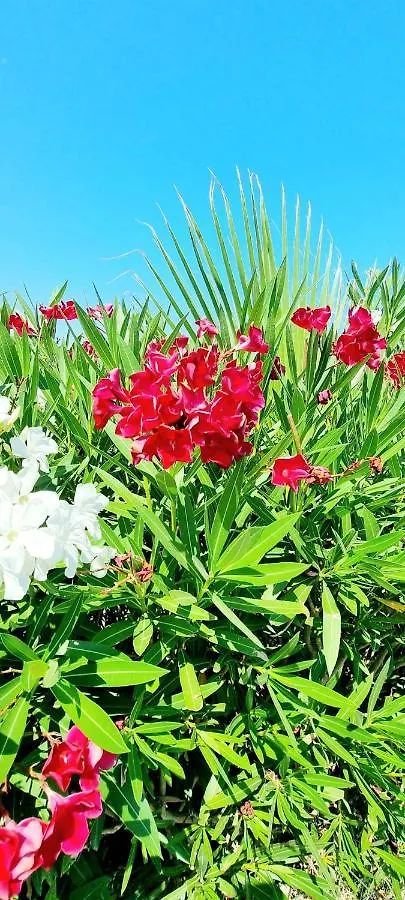 Holiday home San Carlo - Private Beach Campofelice Di Roccella Italy